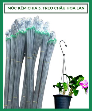 Móc lan mạ kẽm chia 3
